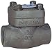Dixon FSCV75 FNPT Forged Steel Check Valve, 3/4"