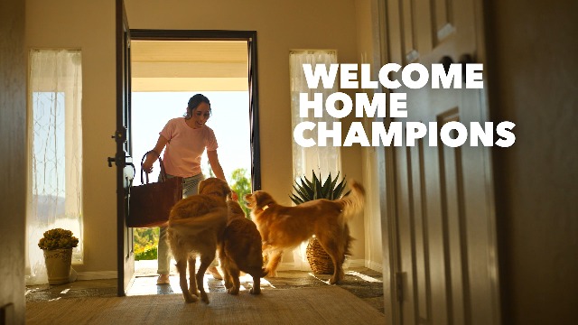 Nutramax Cosequin for Senior Dogs Joint Health Supplement, Contains Glucosamine for Dogs, Chondroitin, MSM, Omega-3s and Beta-Glucan, Supports Joint, Skin and Coat, Immune Health, Soft Chews, 60 Count - image 8