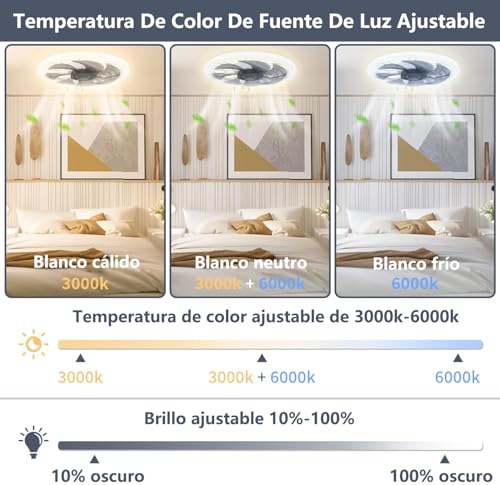 Consejos y reviews para comprar Abanicos de techo en monterrey los más solicitados. 3 Consejos y reviews para comprar Abanicos de techo en monterrey los más solicitados. 3