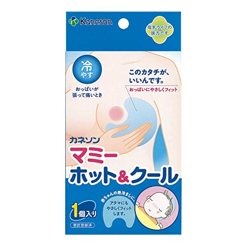 2歳児授乳中 子供に母乳ってどんな味 と聞いてみた件 家庭内別居妻の子育て大発見