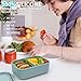 Annaklin 100% Silicone Bento Box Adult with 2 Compartments, 24oz, Reusable Small Divided Lunch Box Meal Prep Containers for Food Snack Storage, BPA-Free Plastic-Free, Microwave Dishwasher safe, Green