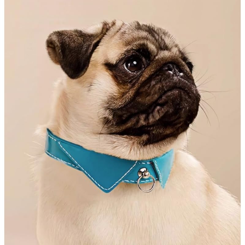 Collier en cuir personnalisé pour animal de compagnie avec plaque nominative gravée, convient pour les chats et les petits chiens