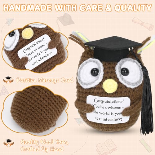 Image of Mini Funny Positive Crochet Owl with Cap for Her Him, 2026 Graduation Gifts Emotional Crochet Animals High School Graduation Gifts for Friends Teacher Office Decor