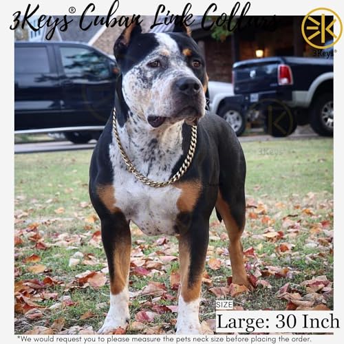 Image of 3Keys Brass Cuban Link Dog Chain Collar - Heavy Duty Training Dog Collar, 30 Inch, 15 mm, Large