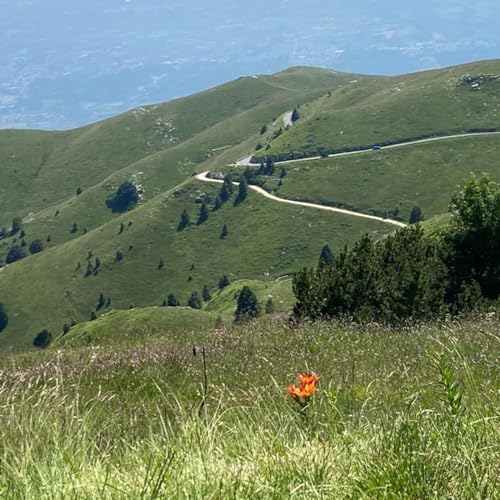 Episodio 1 - Obiettivo: vita - L’altopiano (*)