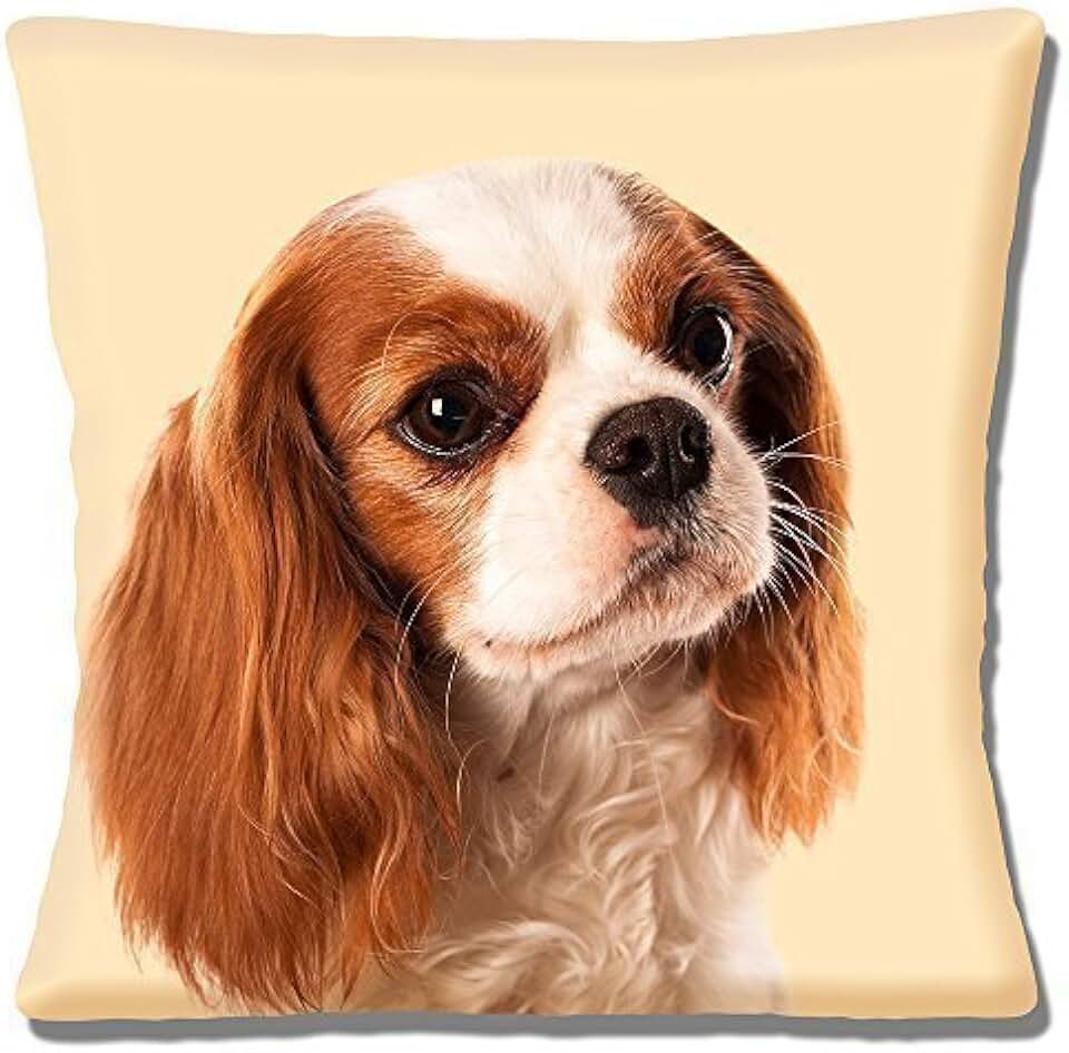 Amazon.co.uk Cushions Corner