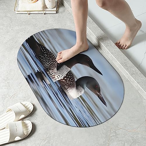 Tapis de bain diatomée séchage rapide BONDIJ doux antidérapant absorbant