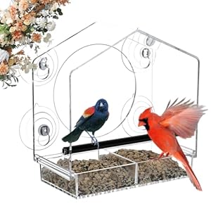 Window Bird Feeder – Clear Window Bird Feeders for Outdoors Viewing, Bird Feeder Window Nothing to Assemble, Easy to Clean and Refill, Bird Watching Gifts