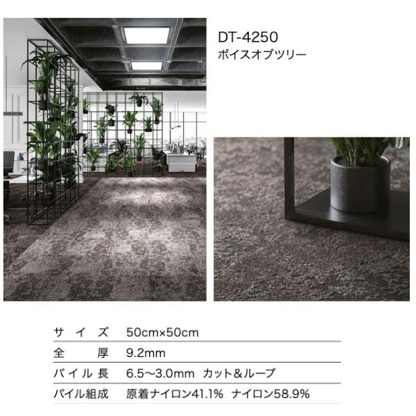 3さん専用　2 口 51lnzek4okL._UF350,350_QL80_.jpg