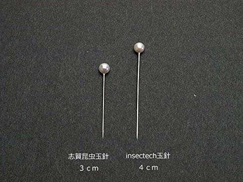 Amazon | insectech 志賀 昆虫展翅用玉針【1000本入り】 | 生態