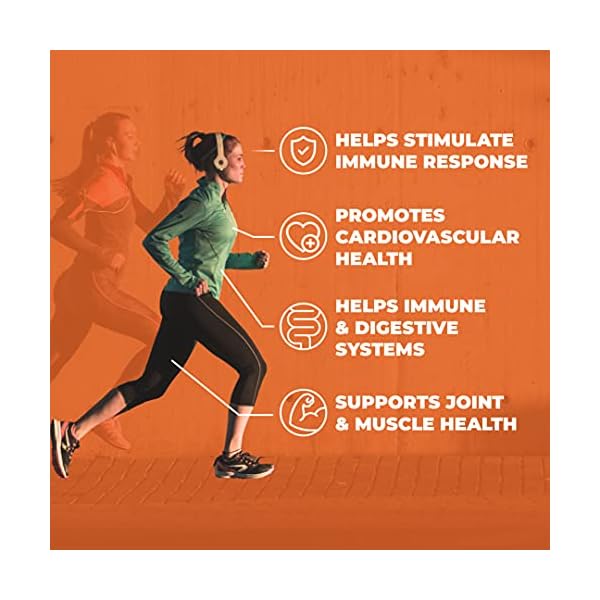 Turmeric-and-Ginger-Supplement-with-Bioperine-Black-Pepper-Natural-Joint-Pain-Relief-Immune-Support-with-95-Curcuminoids-for-Extra-Absorption-Vegan-Antioxidant-for-Healthy-Inflammatory-Response Tumeric and Ginger with Black Pepper - Natural Turmeric Curcumin Joint Support Supplement with Bioperine & 95% Curcuminoids. High Absorption Curcumin Supplements. Digestive & Immune Support. 60 Caps