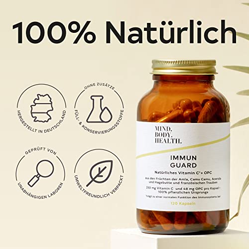 Vitamine hochdosiert für das Immunsystem – Immun Guard