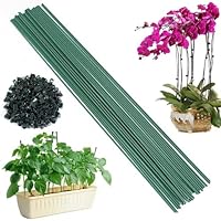 Pflanzenstütze, Pflanzenstäbe, 20 Stück Pflanzenhalter 30 cm, mit 20 Orchideen-Clips, Rankhilfe Zimmerpflanzen, Grüne BlumenstäBchen, für Haus Garten Pfingstrosen, Rosenpflanzen, Klettern