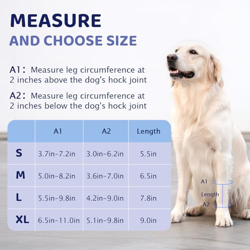 Image of Dog Front Leg Brace - Hock Joint Compression Wrap Providing Stability XL
