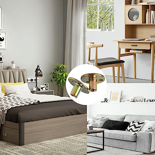 10 Stück Flanschmuttern T Mutter M10, Flansch mit Runder Basis, M10*37 * 2.5mm, Flanschmuttern 3 Loch T Mutter, Kohlenstoffstahl Einschlagmuttern Möbelbeschläge Innengewinde