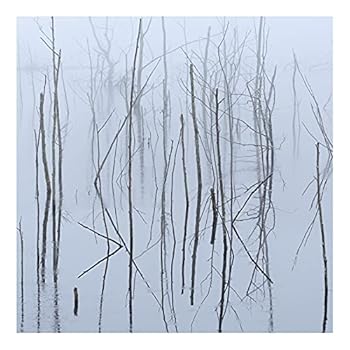 Music - CD Frozen Bloom Book