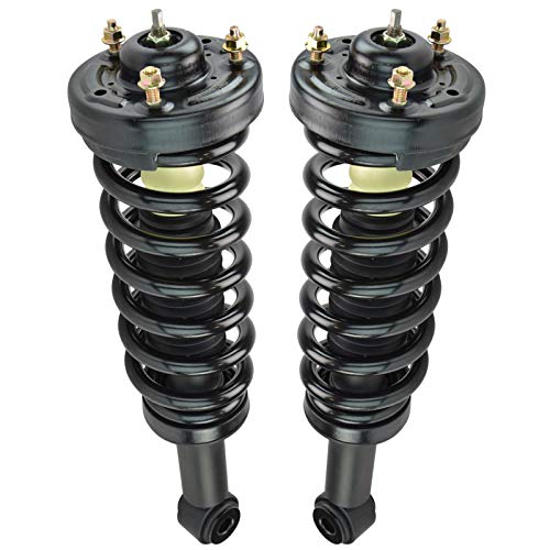 Image of TRQ Front Strut and Spring Assembly Set 2 Piece