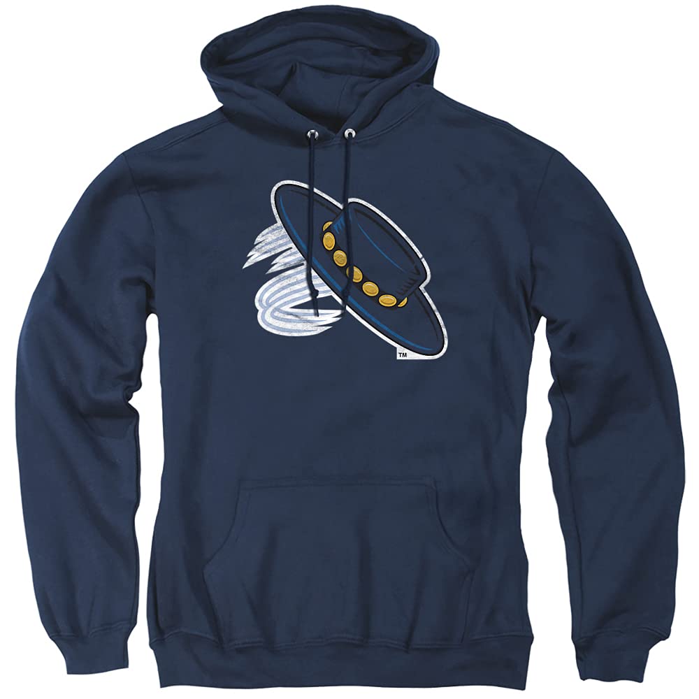LOGOVISION Official Collegiate Distressed Primary Logo Adult Pullover Hoodie Collection — view 233