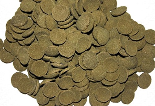 Welschips Algae Wafers Plecos per Welse Corydoras compresse di mangime Spirulina (10 litri)