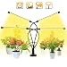 BINKBANG Grow Light Plant LED Growing Lamps for Indoor Full Spectrum with 3/9/12H Timer 10 Dimmable Levels 80 LEDs Adjustable Growth Lights for Garden Hydroponics Succulent Flower [4 Arms-Upgraded ]