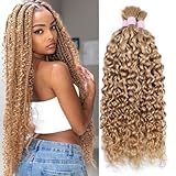 Lucasar Bulk Human Braiding Hair for Water Wave 100g (One Bundle/Pack) No Weft Human Hair Bundles for Braiding Micro Human Braiding Hair for Boho Braids Wet and Wave (20inch #27)