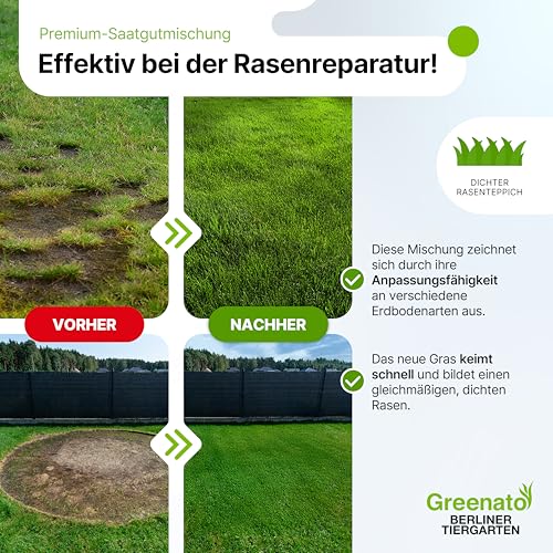 25 kg Grassamen schnellkeimend Greenato Berliner Tiergarten - Schattenrasen Unkrautvernichter und Moosvernichter Rasen Universal Rasensamen - Rasensaat ausreichend für 1000 m²