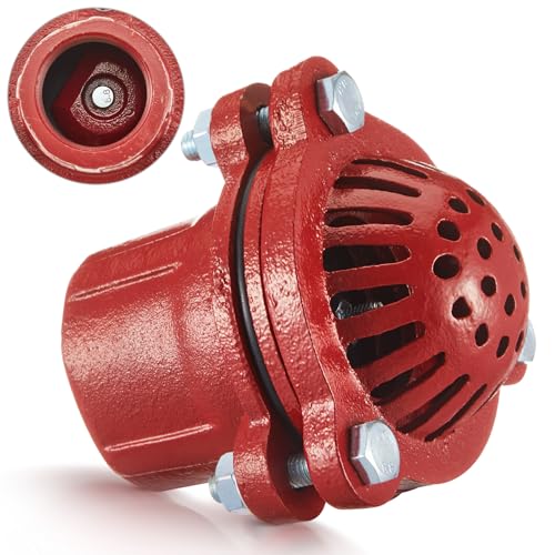 Image of MorningRo 2 Inch Cast Iron Foot Valve NPT Painted Carbon Threaded Foot Valve for Water Service Only