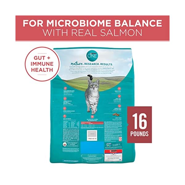 Purina ONE Dry Cat Food, Salmon & Tuna Flavor, 16-Pound Bag by – Bild 7