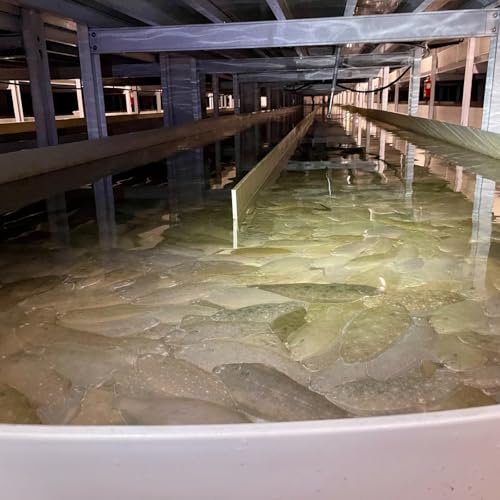 El Rincón del Sibarita, 2 de octubre (COPE Asturias, episodio 1139)