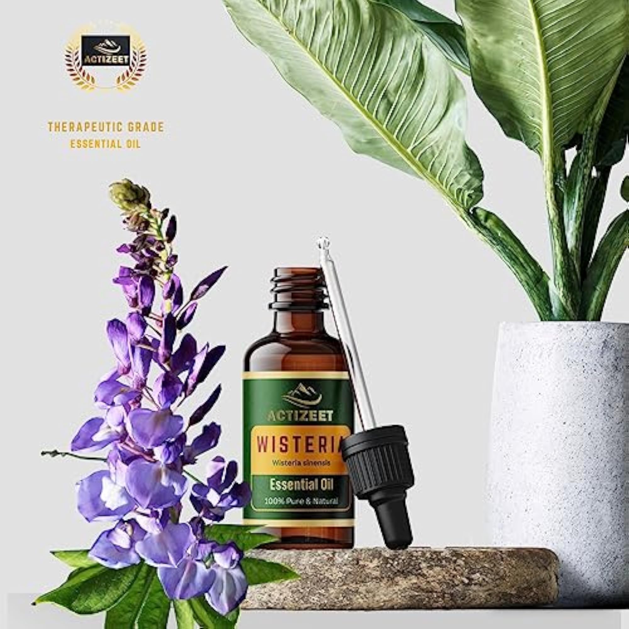 Wisteria Essential Oil by ACTIZEET, 15 ML