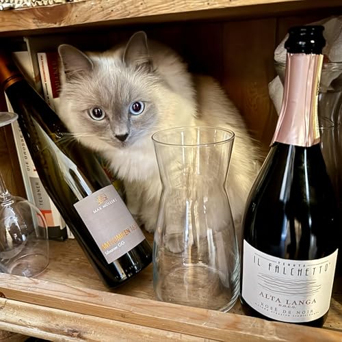 Blindflug 173: Hoch hinaus und in den Norden