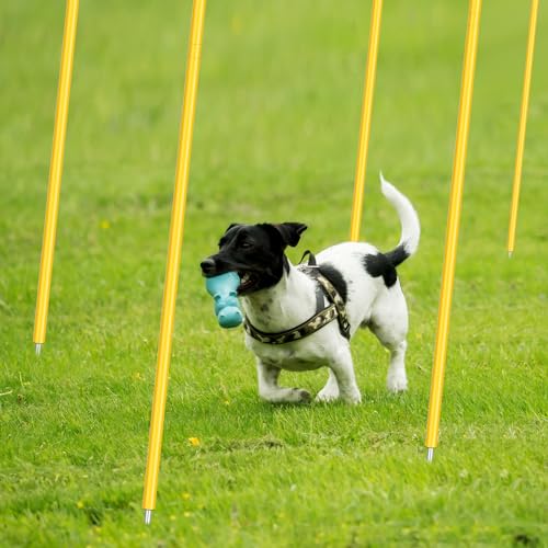 Blulu Training Agility Poles 5ft Forza Slalom Adjustable Soccer Training Poles Soccer Training Sticks Agility Training Equipment for Football Sport Football Soccer Speed Training - Image 6