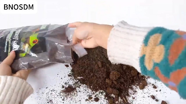 BNOSDM Reptile Soil Substrate Fluffy Small-Strand Reptile Substrate and Snake Bedding Clean Natural Terrarium Bedding for Lizards Snakes Tortoises Tarantulas - image 8