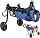 Hunderollstuhl, Behindertenhund, Behindertenhilfewagen, Hundewagen, leicht, größenverstellbar, geeignet für kleine und mittelgroße Hunde (Modell) (Blau - M)
