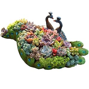 Peacocksucculentpotlargevintagepeacockplanterflowerpotuniquesucculentcactuscontainerhomeandgardendecorativesucculentplanternoplants  Urban Country Home Decor Peacock succulent pot large vintage peacock planter flower pot unique succulent cactus container home and garden decorative succulent planter no plants  urban country home decor