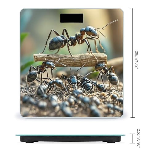 Báscula Digital Ant Bridge de Vidrio Templado para Baño miniatura 2