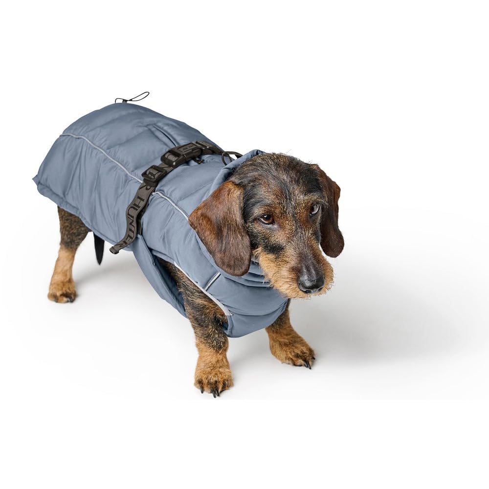 HUNTER Hundemantel Paxson Dachshund, Farbe: taubenblau, wasserabweisend & warm gefüttert, idealer Wetterschutz, reflektierend, für kleine Hunde mit langem Rumpf, Größe: 40