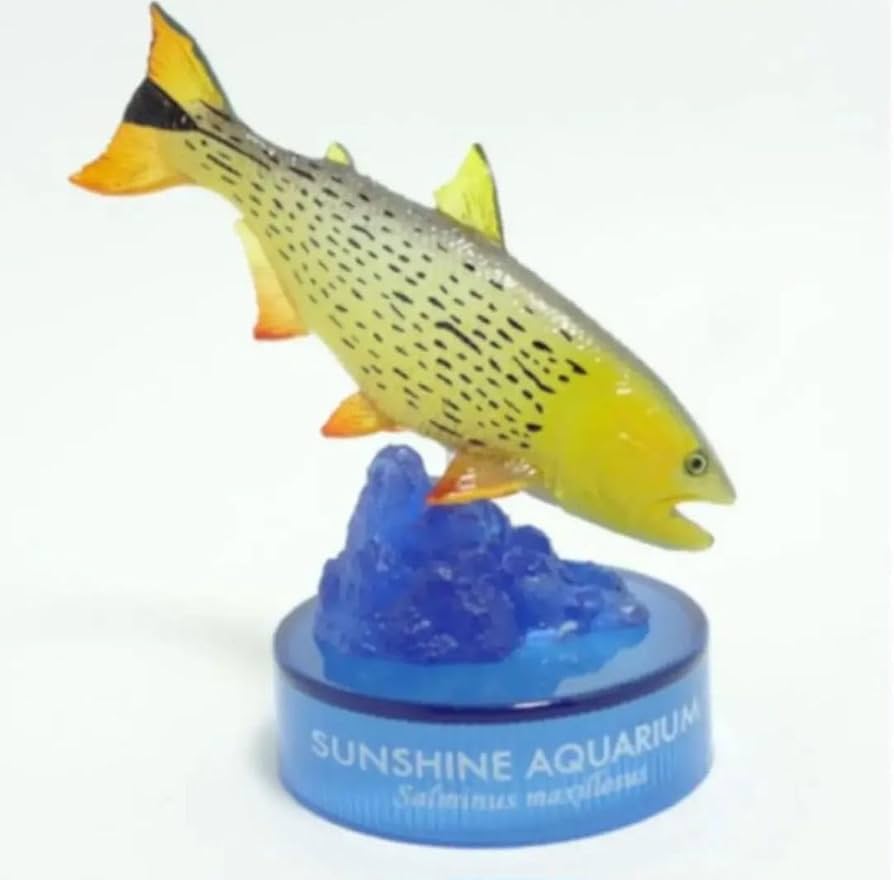 Amazon.co.jp: サンシャイン水族館限定 日本水族館立体生物図録