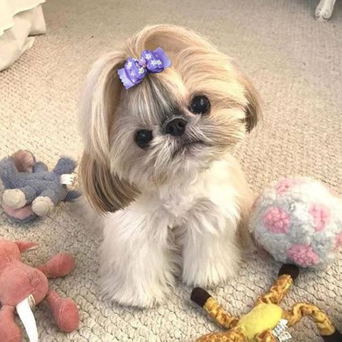 Yxiang 24 x Hundehaarschleifen, niedliche Hundehaarschleifen, Yorkie-Welpen, mit Gummiband, Fellpflegeschleifen, bunt, gepunktet, Hundehaarzubehör für kleine Hunde