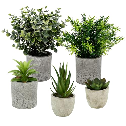 Vexaflow 5 Piezas Plantas Artificiales con Macetas, Mini Macetas Artificiales de Lengua de Serpiente, Agave Suculentas, Aloe Garra de Águila, Plantas Realistas para Decoración de Dormitorio