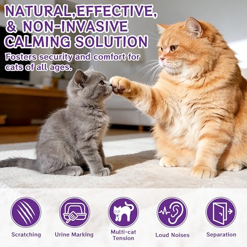 6-In-1 Katze Pheromon Beruhigende Diffusor, 2 Stecker + 4 Refills Pheromon Diffusor für Katzen, Angst lindern, Helfen, Kämpfe zu reduzieren, Sprühen & Kratzern, Drogenfrei & Geruchlos Sicher, 120 Tag