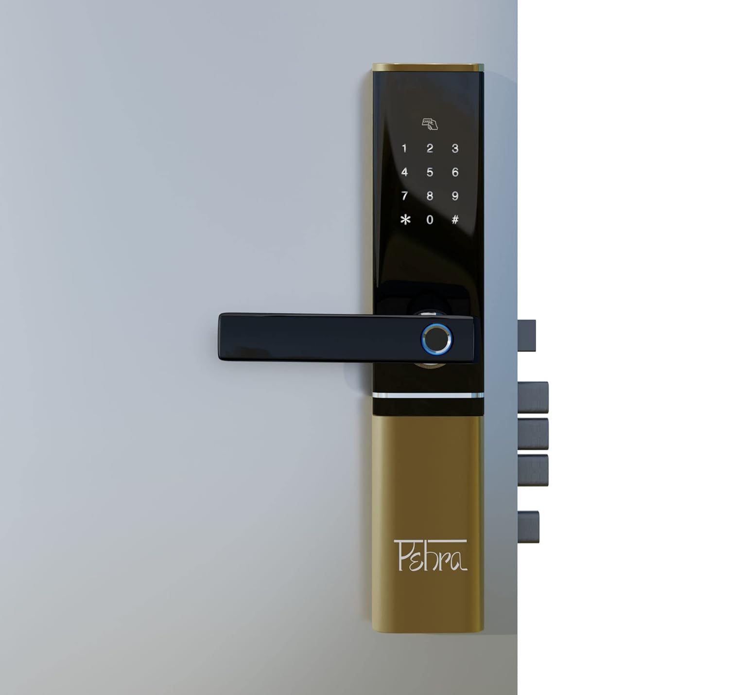 Pehra Lexon Zinc Alloy 5 Way Unlock Biometric Fingerprint Access, RFID ...