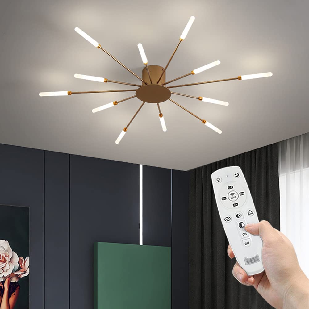 Modern Fireworks Ceiling Light With Remote Control, LED Creative Flower Shape Ceiling Lamp Fixture Nordic Semi-Flush Mount Acrylic Ceiling Lighting For Living Dining Room Bedroom (Gold,12-Light)