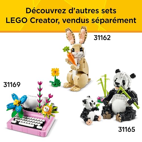 Lego Creator 3 en 1 Le Chat Joueur 31163 Lego La Boite - vue 8