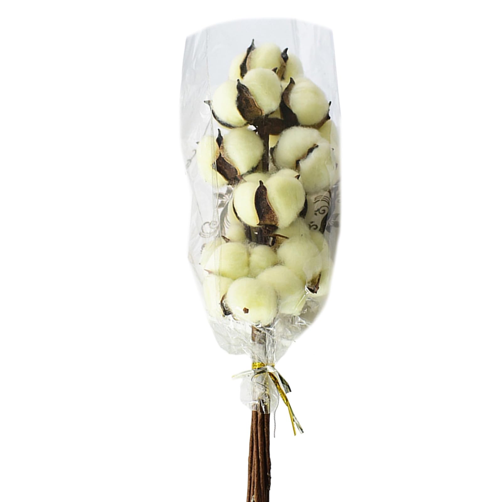 Tsophreniq 10Pcs User Friendly Dried Cotton Blooms Cotton Flower Decoration for Table Centerpieces and Craft Projects Dried Flower