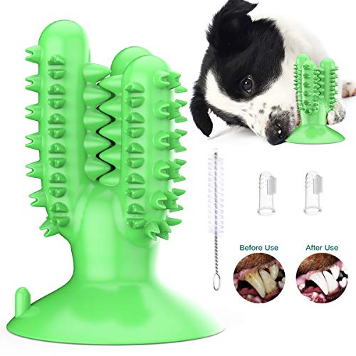 MKISHINE Dog Toothbrush, Interactive Chew Toy, Toothbrush for Dogs, Natural Rubber EnLimines Safely, Prevents Bad Breath Dental Disease