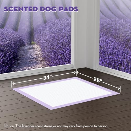Image of CROCI Dog Pads Extra Large 28x34in, Puppy Pads with Adhesive Tabs Super Absorbent Up to 8 Cups, Disposable (40 Counts)