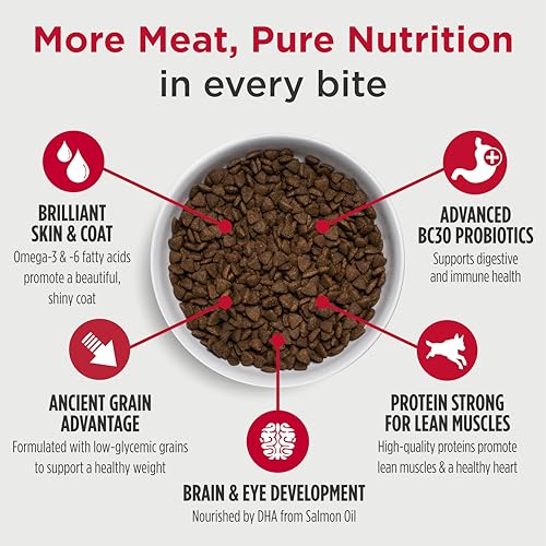 Image of Nulo Frontrunner Puppy Food - High-Protein Chicken, Oats & Turkey Recipe Kibble, Natural Dry Dog Food with DHA, Ancient Grains, Probiotics, Taurine, Omega 3 for Small, Medium & Large Breeds, 5lb Bag
