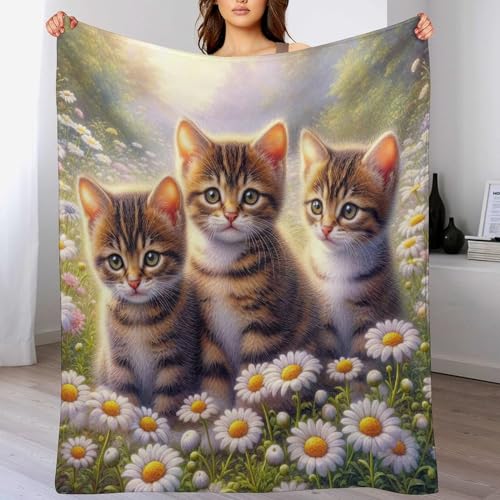 Couverture flanelle chat de qualité supérieure pour drap de lit élégant - 2