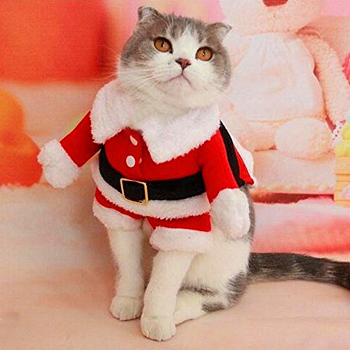 Bolbove Pet Christmas Santa Claus Suit Costume For Small Dogs Cats Jumpsuit Winter Coat Warm Clothes (Red, X-Small) #TOP5
